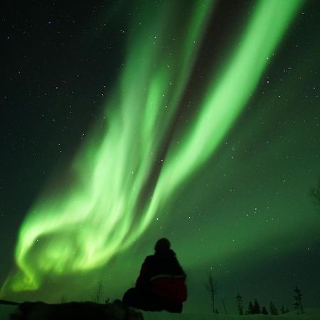 Arctic City Nest Rovaniemi Ngoại thất bức ảnh