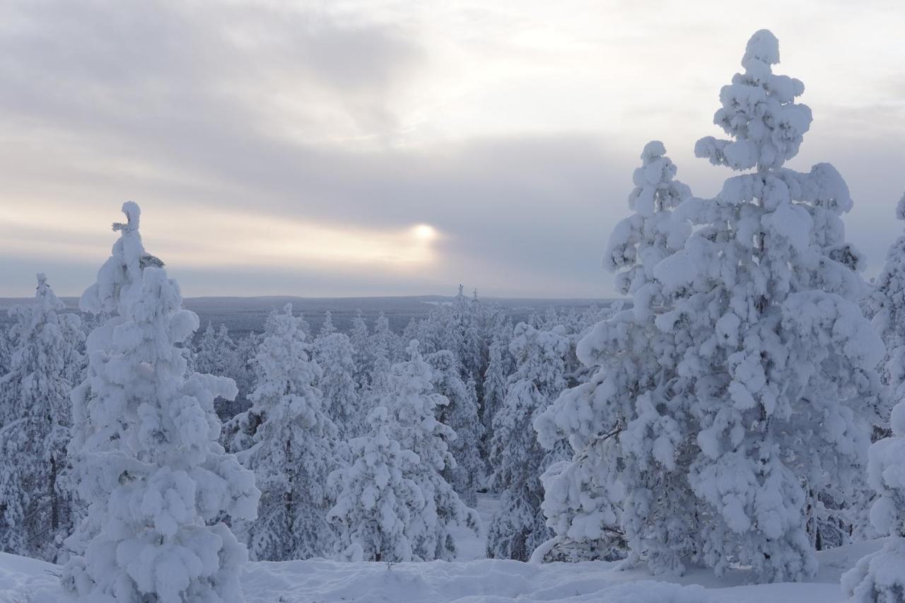 Arctic City Nest Rovaniemi Ngoại thất bức ảnh