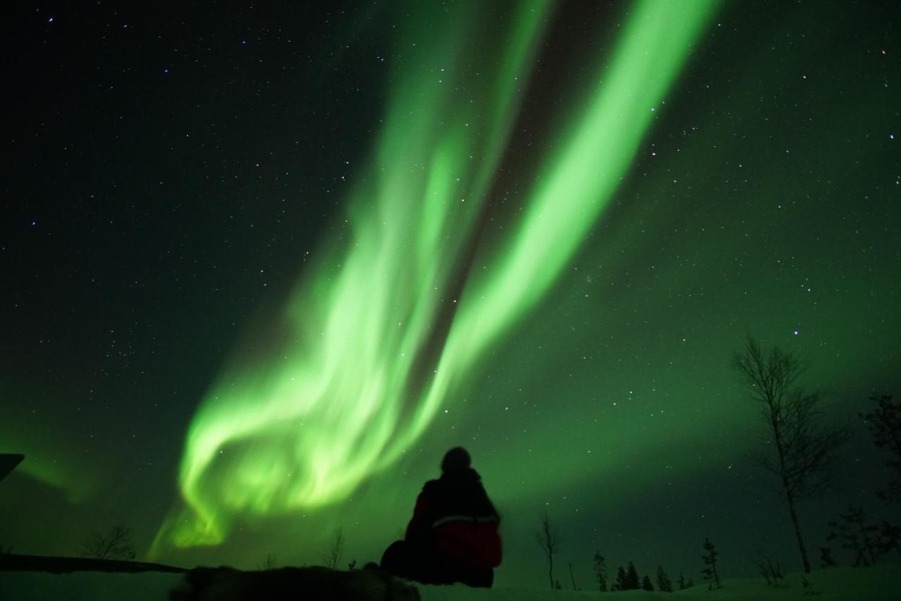 Arctic City Nest Rovaniemi Ngoại thất bức ảnh